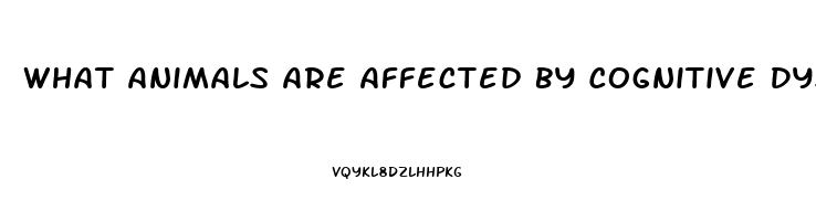 What Animals Are Affected By Cognitive Dysfunction