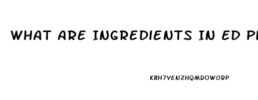 What Are Ingredients In Ed Pill Xtasy