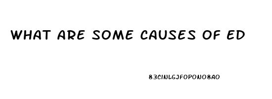 What Are Some Causes Of Ed
