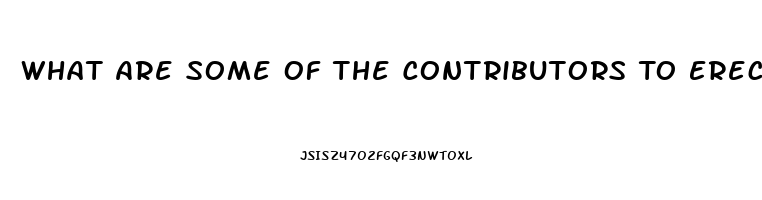 What Are Some Of The Contributors To Erectile Dysfunction Quizlet