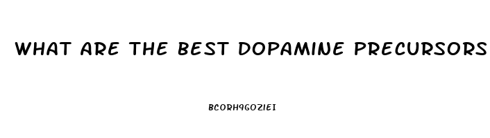 What Are The Best Dopamine Precursors For A Strong Libido