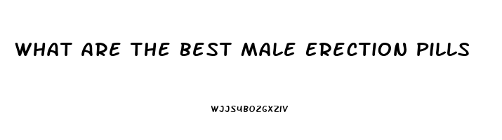 What Are The Best Male Erection Pills