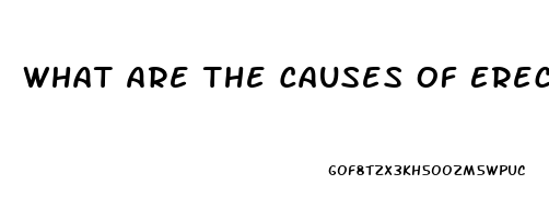 What Are The Causes Of Erectile Dysfunction