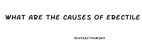 What Are The Causes Of Erectile Dysfunction