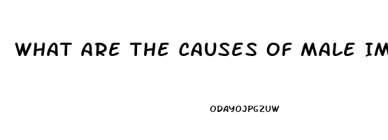 What Are The Causes Of Male Impotence