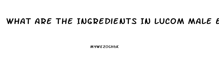 What Are The Ingredients In Lucom Male Enhancement Pill