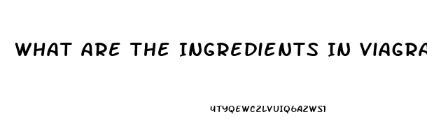 What Are The Ingredients In Viagra