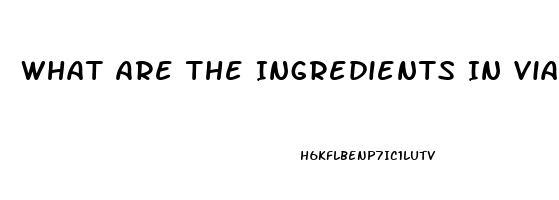 What Are The Ingredients In Viagra