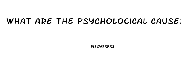 What Are The Psychological Causes Of Erectile Dysfunction