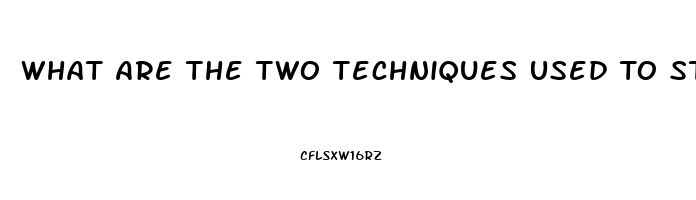 What Are The Two Techniques Used To Study Hypothalamic Dysfunction
