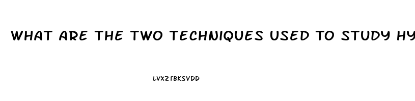 What Are The Two Techniques Used To Study Hypothalamic Dysfunction