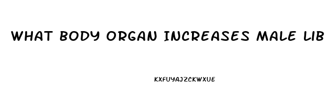 What Body Organ Increases Male Libido