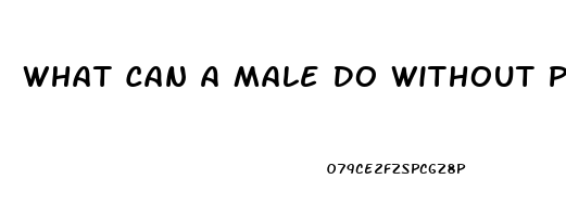 What Can A Male Do Without Pills To Get A Better Erection For Sex