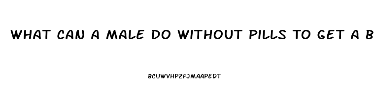 What Can A Male Do Without Pills To Get A Better Erection For Sex