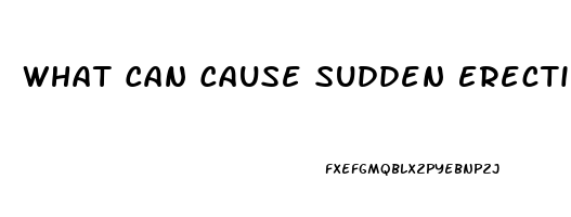 What Can Cause Sudden Erectile Dysfunction