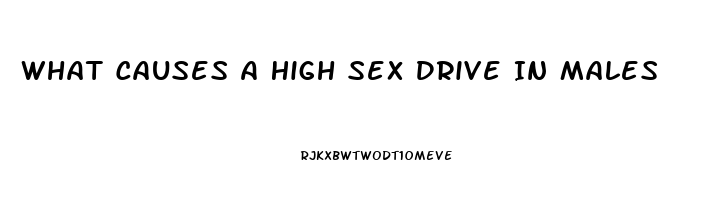 What Causes A High Sex Drive In Males