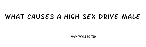 What Causes A High Sex Drive Male