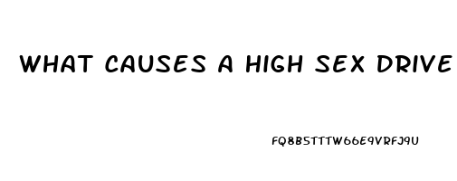 What Causes A High Sex Drive Male