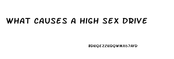 What Causes A High Sex Drive