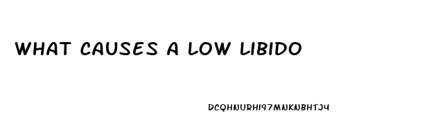 What Causes A Low Libido