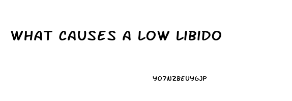 What Causes A Low Libido