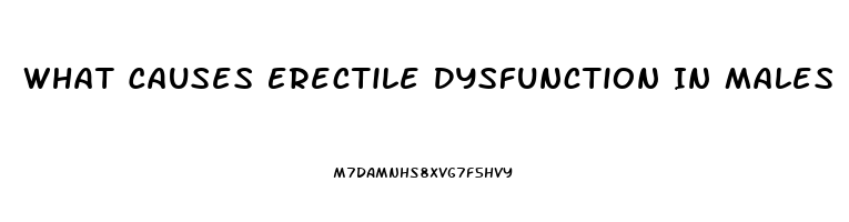 What Causes Erectile Dysfunction In Males