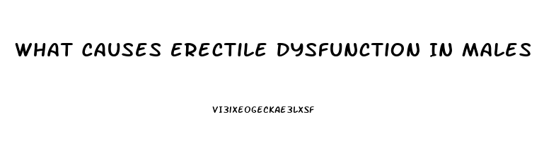 What Causes Erectile Dysfunction In Males