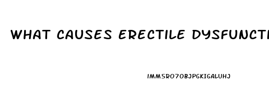 What Causes Erectile Dysfunction In Older Males