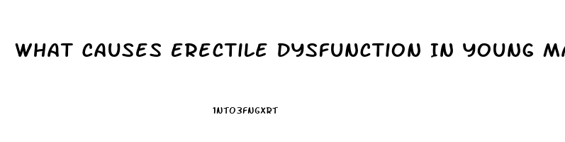 What Causes Erectile Dysfunction In Young Males