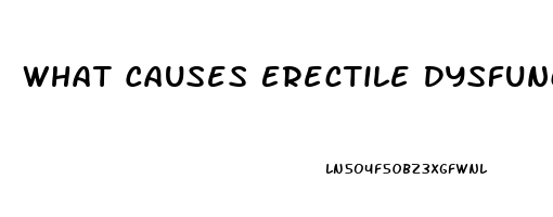 What Causes Erectile Dysfunction Problems