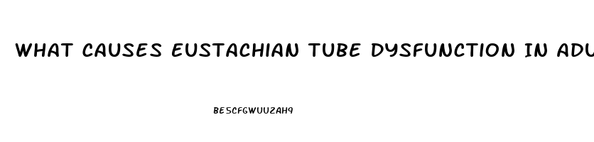 What Causes Eustachian Tube Dysfunction In Adults