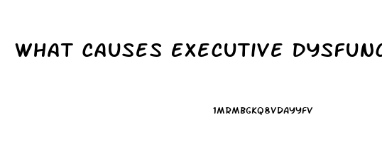 What Causes Executive Dysfunction