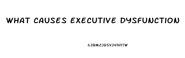 What Causes Executive Dysfunction