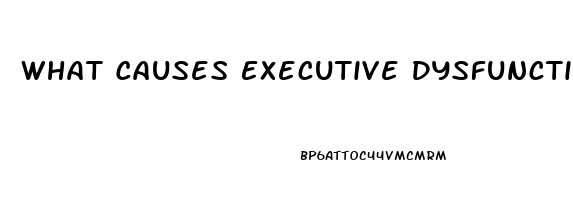 What Causes Executive Dysfunction
