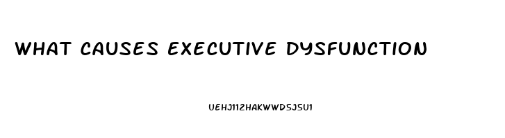 What Causes Executive Dysfunction