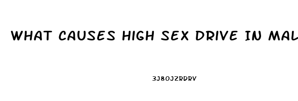 What Causes High Sex Drive In Males