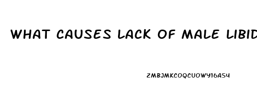 What Causes Lack Of Male Libido