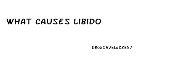 What Causes Libido