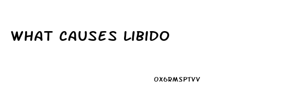 What Causes Libido