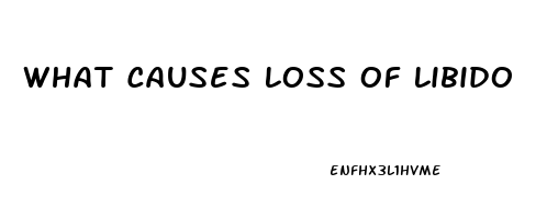 What Causes Loss Of Libido