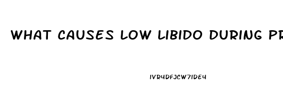 What Causes Low Libido During Pregnancy