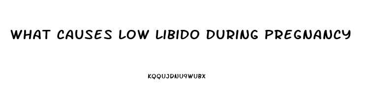 What Causes Low Libido During Pregnancy