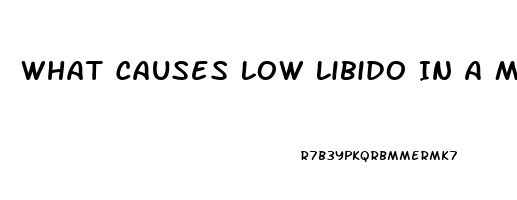 What Causes Low Libido In A Man