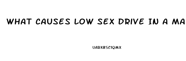 What Causes Low Sex Drive In A Man