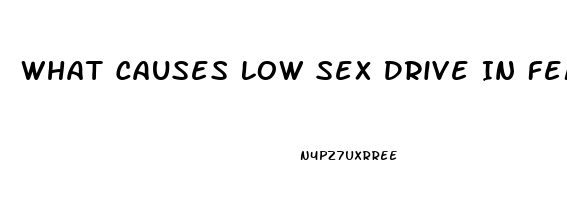 What Causes Low Sex Drive In Female