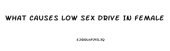 What Causes Low Sex Drive In Female