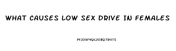 What Causes Low Sex Drive In Females