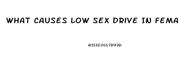 What Causes Low Sex Drive In Females