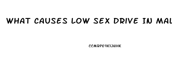 What Causes Low Sex Drive In Males