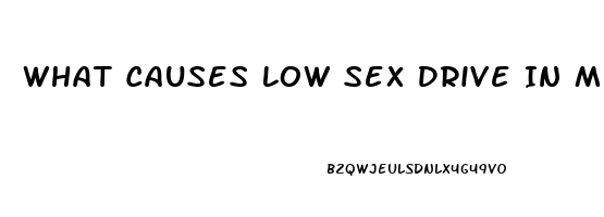 What Causes Low Sex Drive In Men